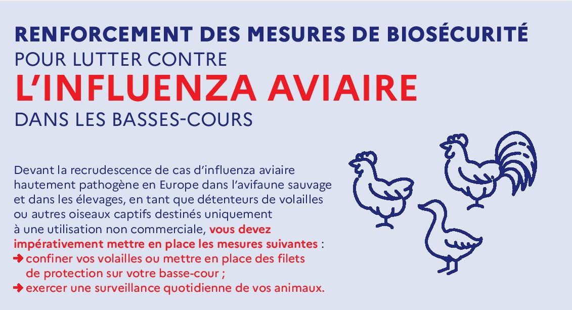 Relèvement du risque Influenza aviaire